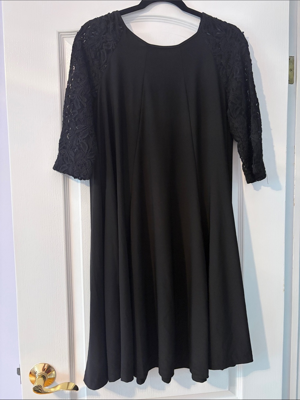 Gabby Skye Black Lace Sleeve A-Line Women’s Dress